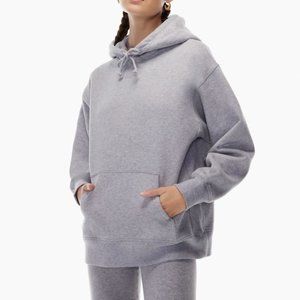 Aritzia Boyfriend Hoodie